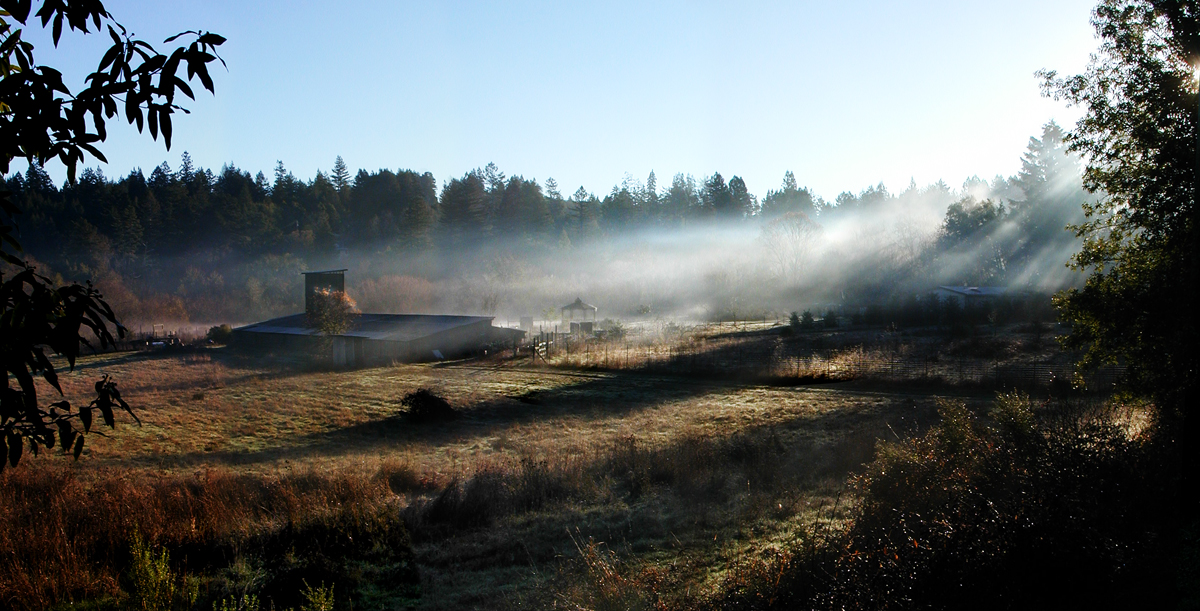 Morning Mist Green Hill Rd pan